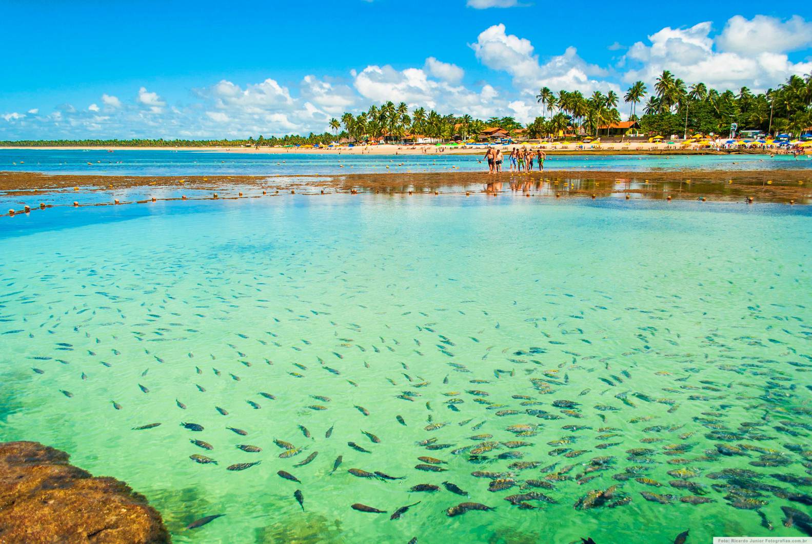 PORTO GALINHAS